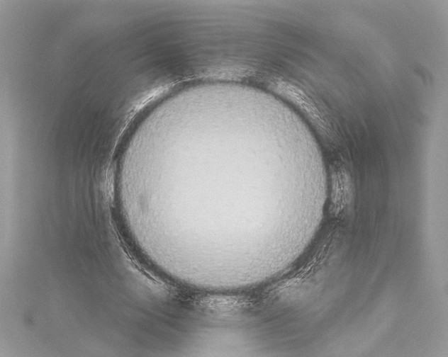 X0000114130632200911191123