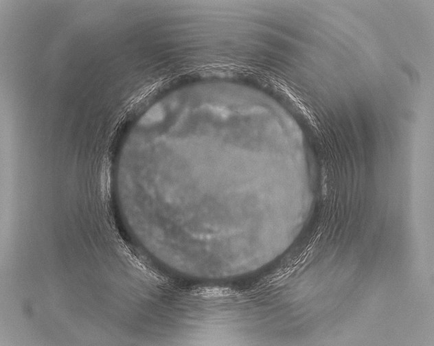 X0000114130637200911191123