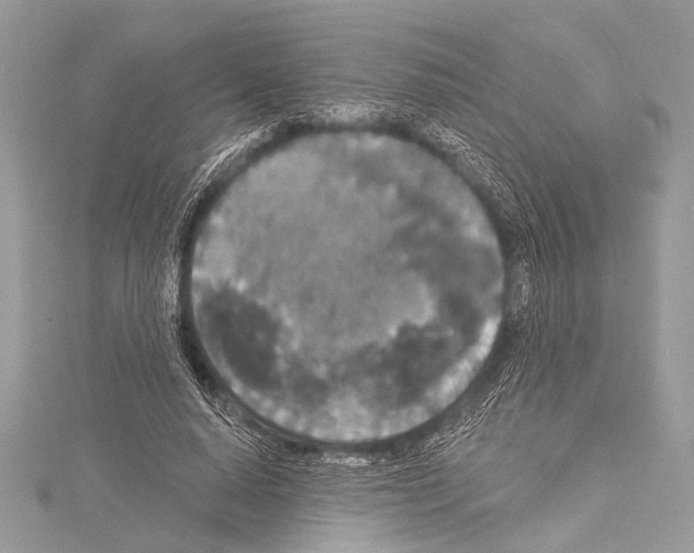 X0000114130640200911191123