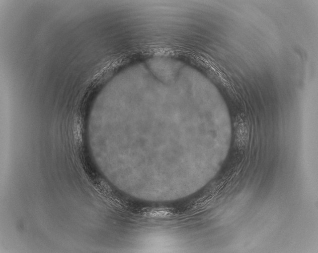 X0000114130643200911191123