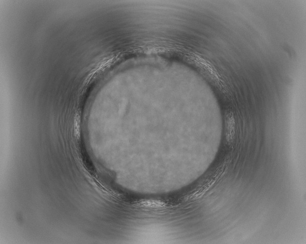 X0000114130644200911191123