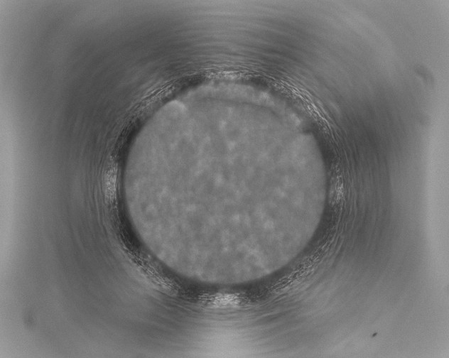 X0000114130647200911191123