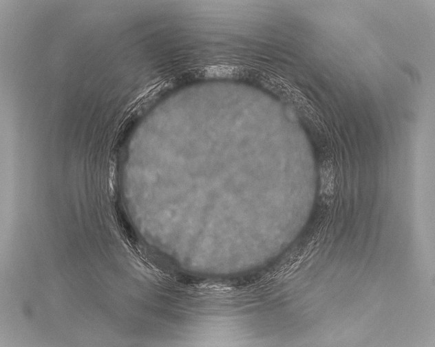 X0000114130648200911191123