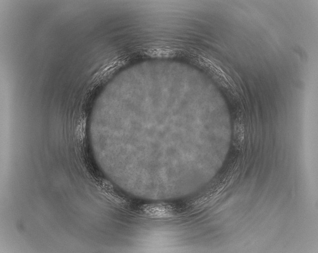 X0000114130652200911191123