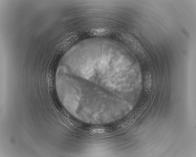 X0000114130653200911191123