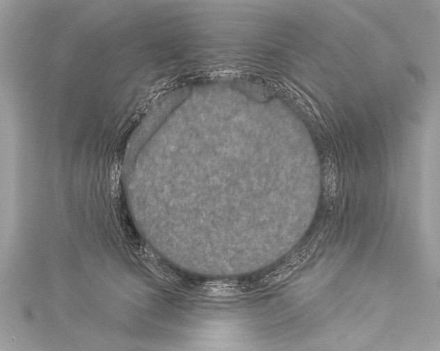 X0000114130660200911191123