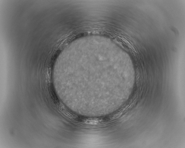 X0000114130661200911191123