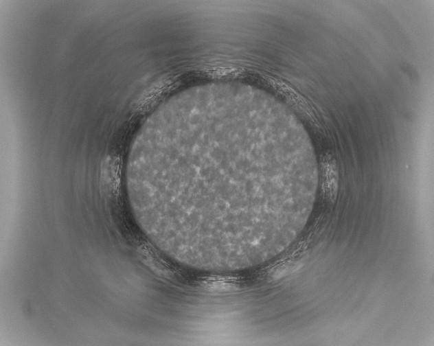 X0000114130664200911191123