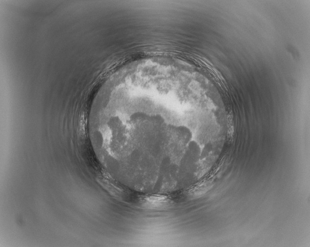 X0000114130669200911191123