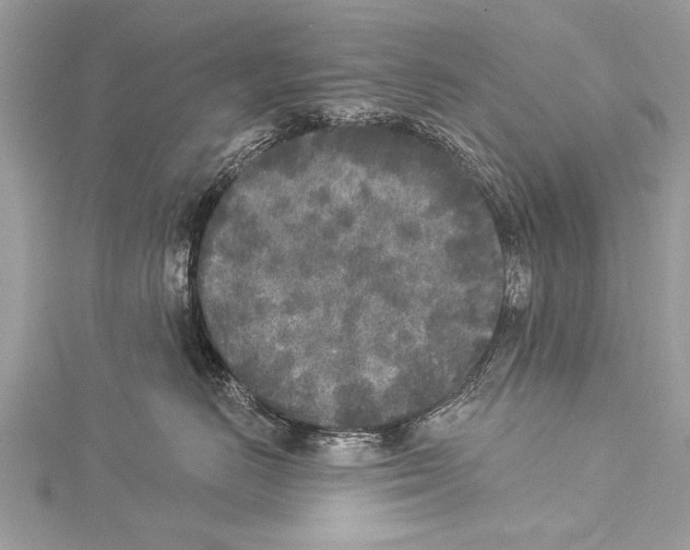 X0000114130670200911191123