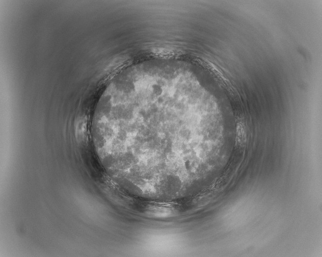 X0000114130671200911191123