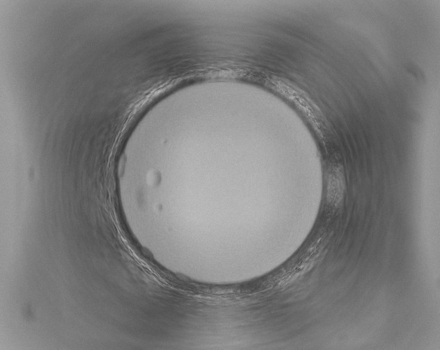 X0000114130673200911191123