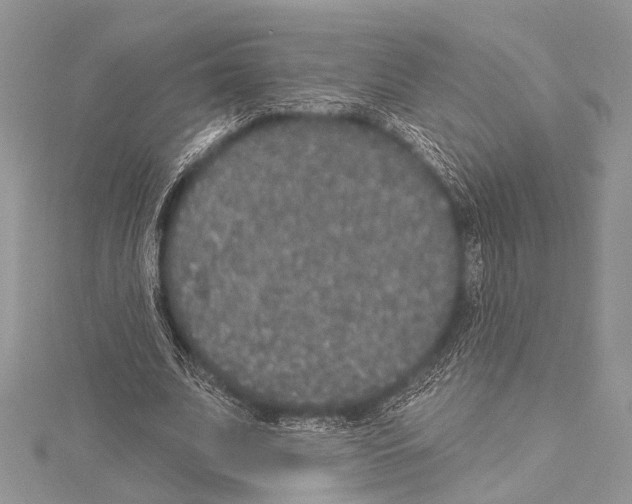 X0000114130679200911191123