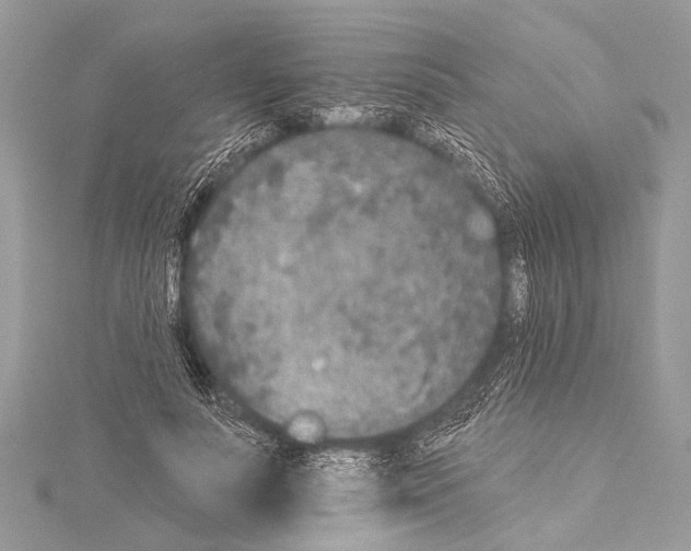 X0000114130691200911191122