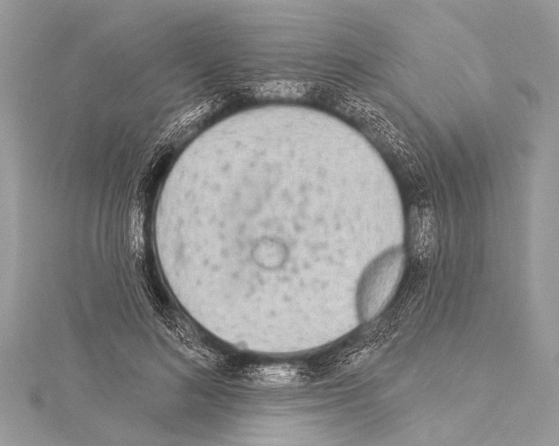 X0000114130692200911191122