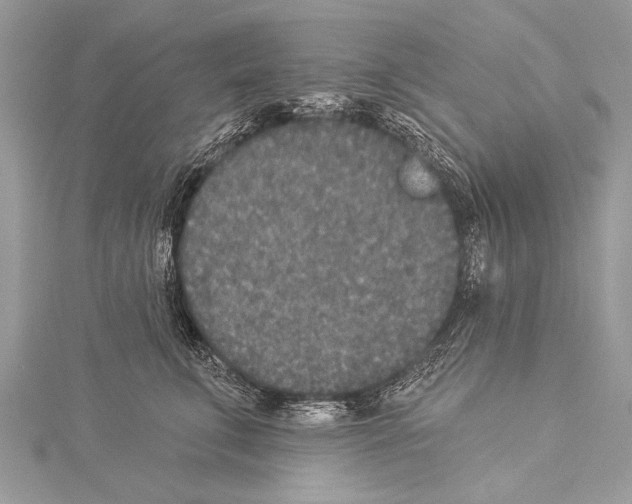 X0000114130711200911191122