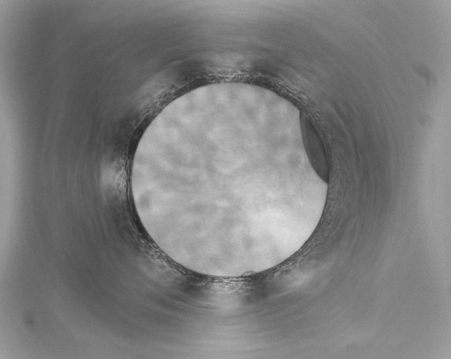 X0000114130720200911191122