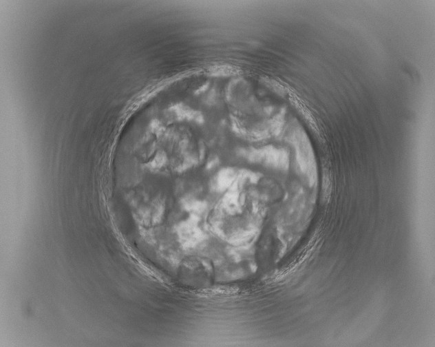 X0000114130721200911191121