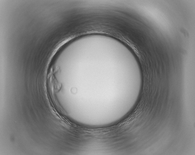 X0000114130724200911191121