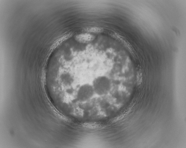 X0000114130725200911191121