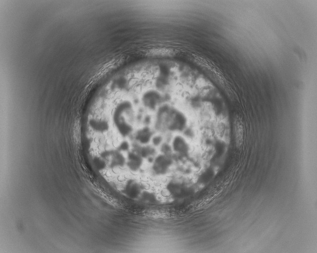 X0000114130729200911191121