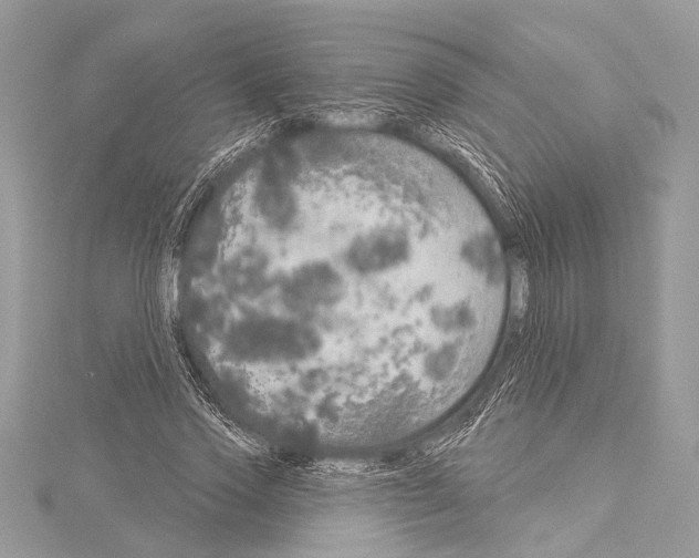 X0000114130733200911191121