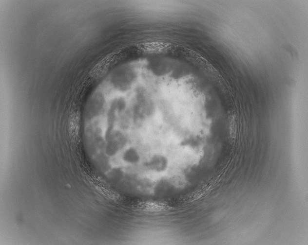 X0000114130737200911191122