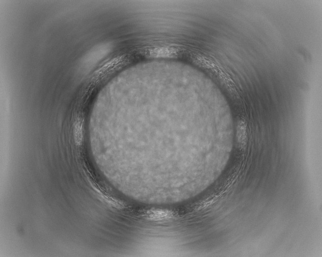 X0000114130741200911191122