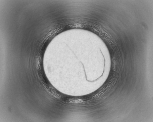 X0000114130747200911191122