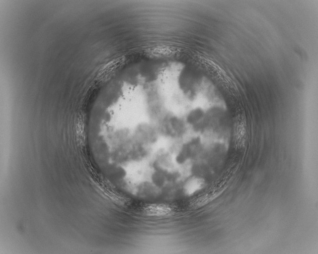 X0000114130749200911191122