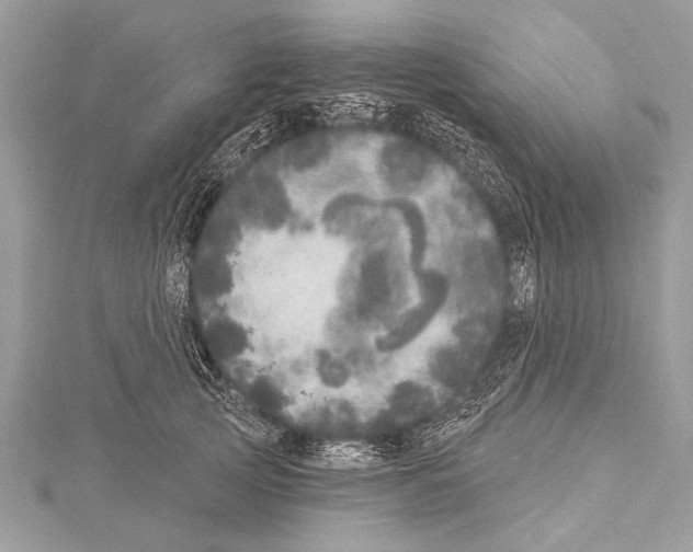 X0000114130753200911191122