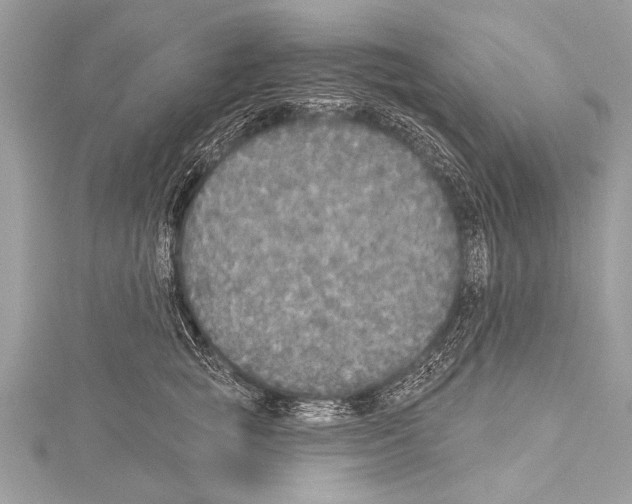 X0000114130757200911191122