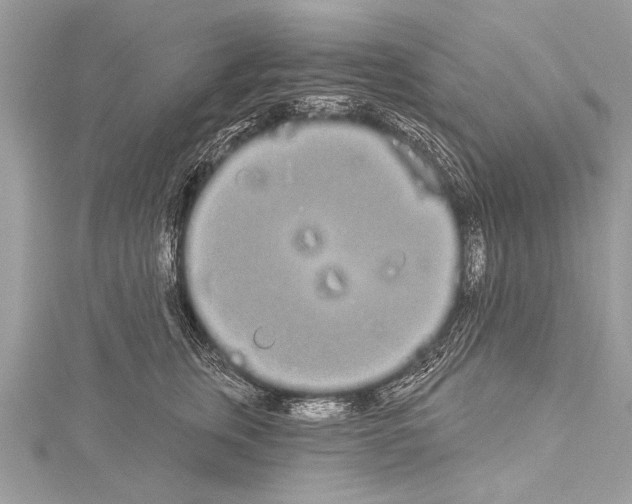 X0000114130759200911191122