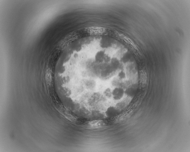 X0000114130761200911191122