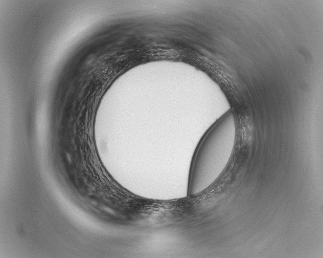 X0000114130764200911191122