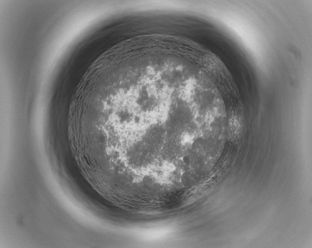 X0000114130765200911191122