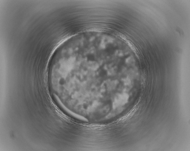 X0000114130779200911191121