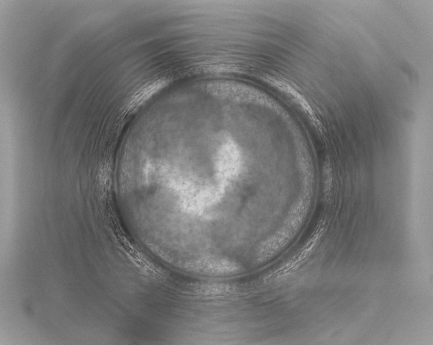 X0000114130785200911191121