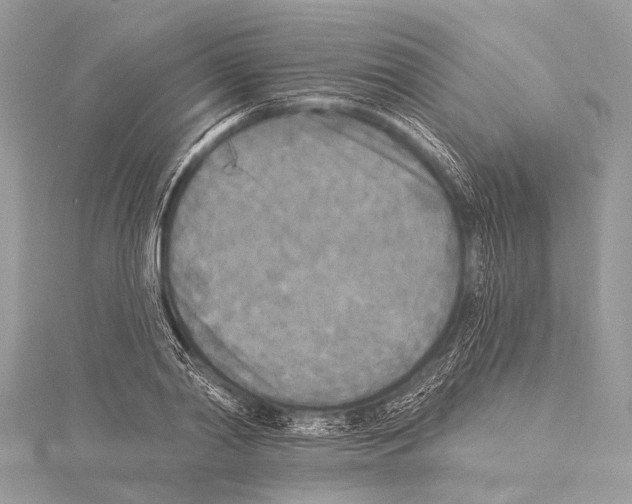 X0000114130790200911191121