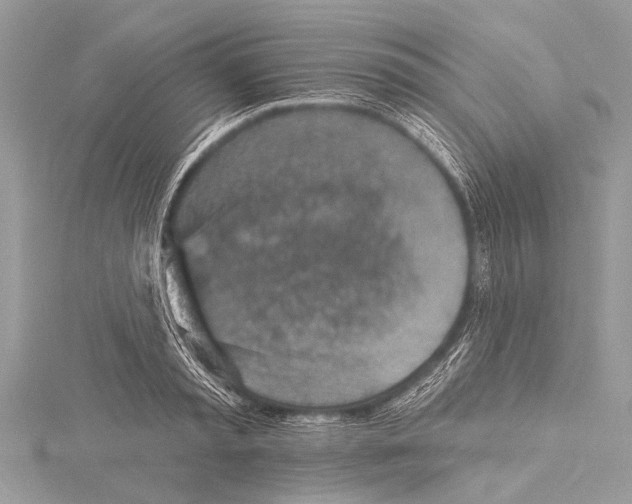 X0000114130797200911191121