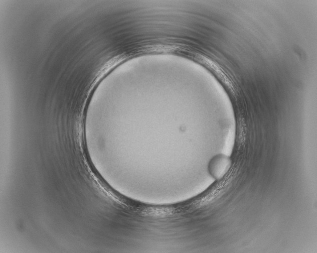 X0000114130802200911191121