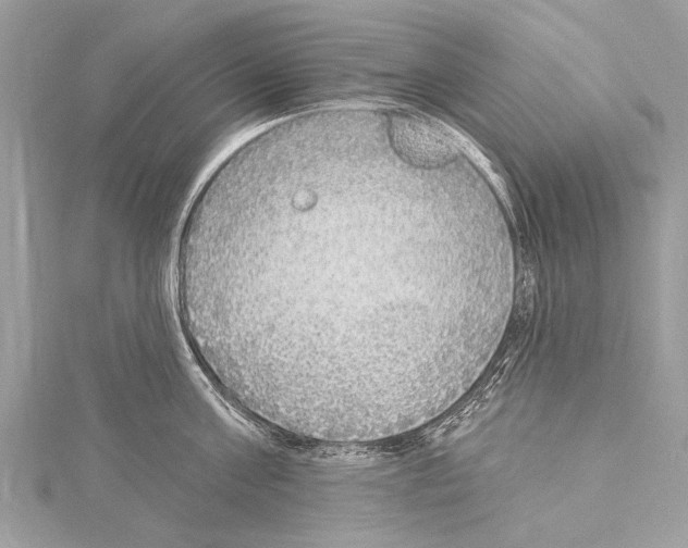 X0000114130811200911191121