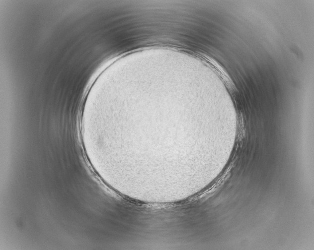 X0000114130812200911191121