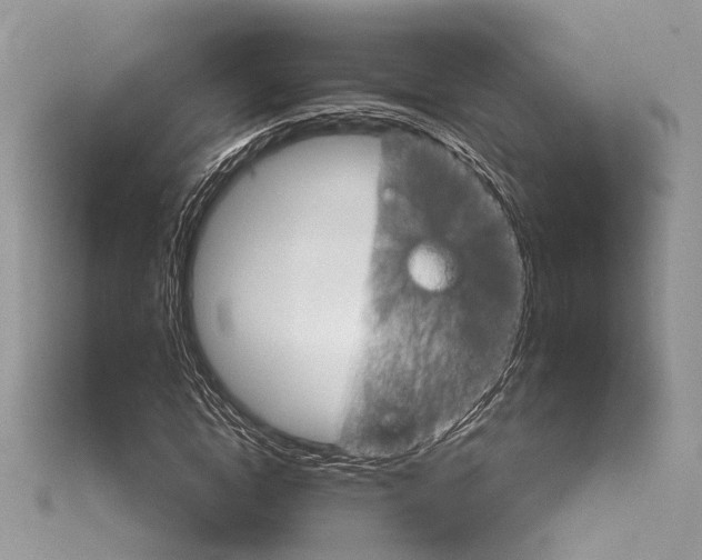 X0000114130822200911191120