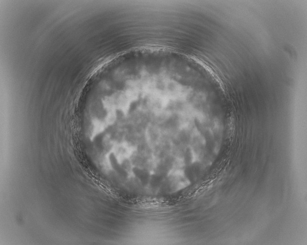 X0000114130823200911191120