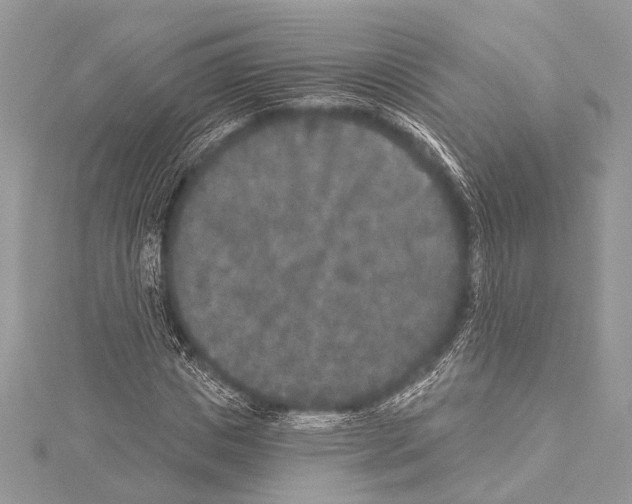 X0000114130825200911191120