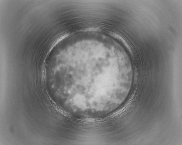 X0000114130827200911191120