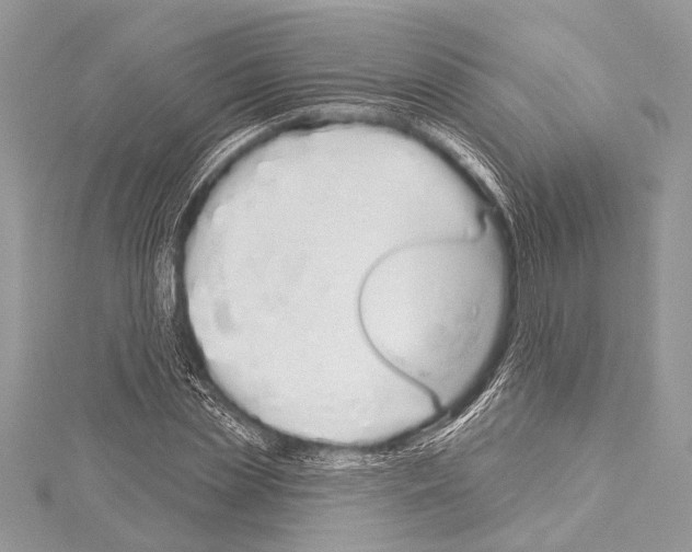 X0000114130829200911191120