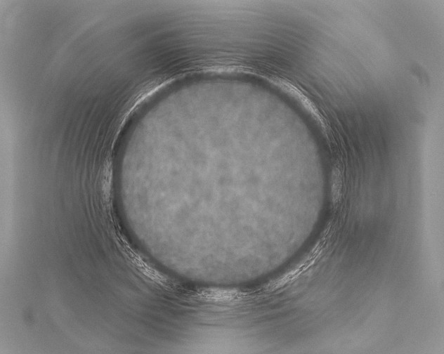 X0000114130831200911191120