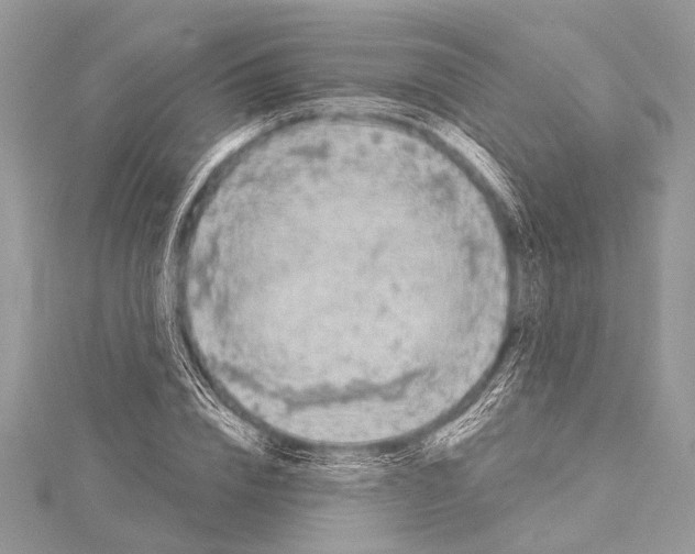 X0000114130832200911191120